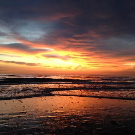 Zonnegloed Aan Zee *